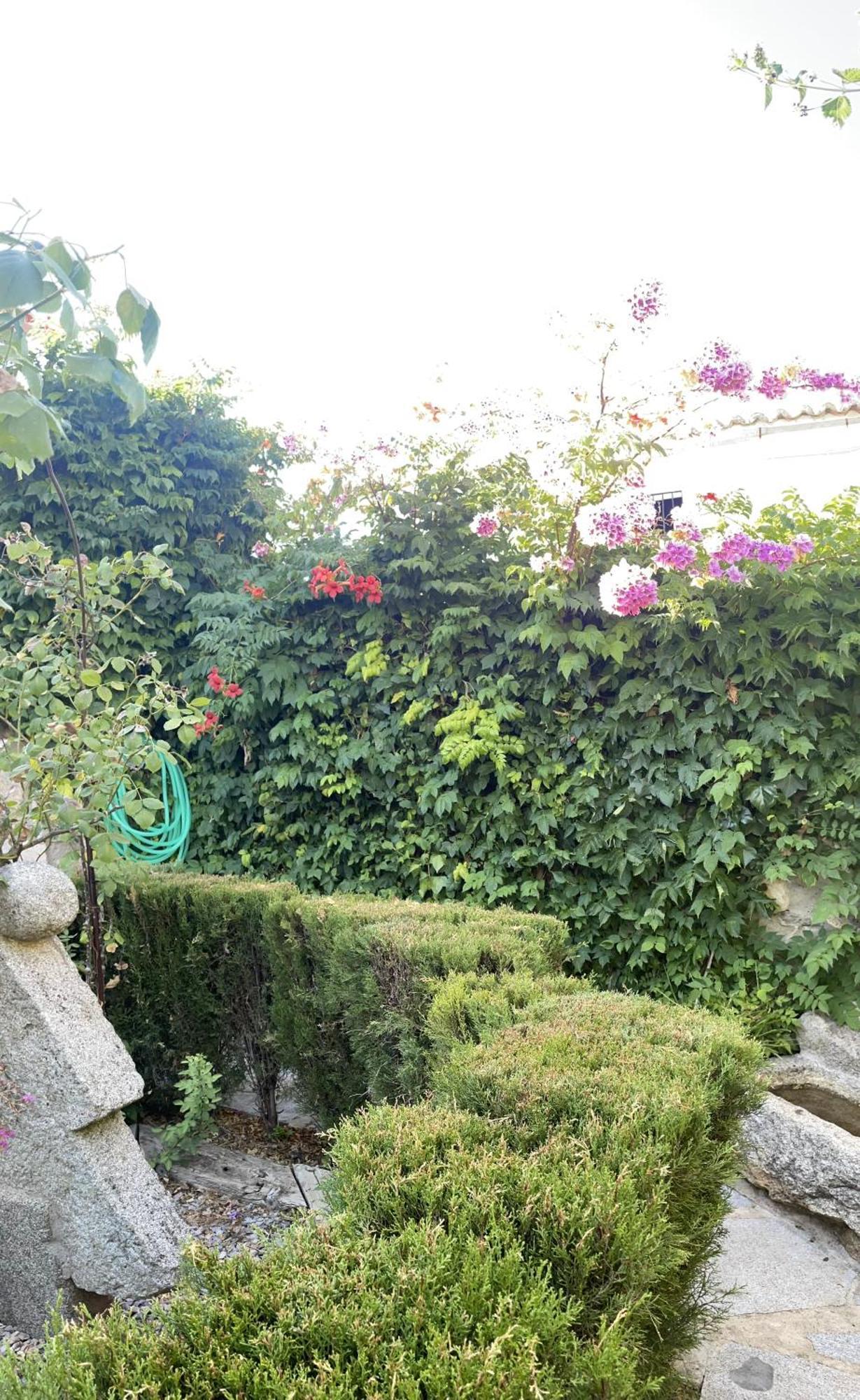 Casa Rural Piedras De Benquerencia エクステリア 写真